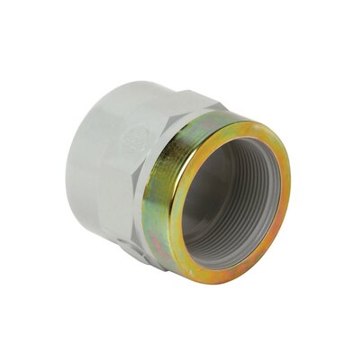 CPVC 20mm x 1/2 Socket Plain Threaded Band CPVC 20mm x 1/2 Socket Plain Threaded Band
